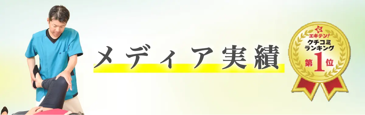 メディア実績